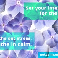 Breathe in calm.