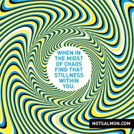 Find stillness in the midst of chaos.