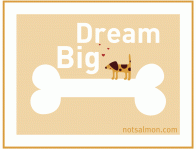 dream-big-dog