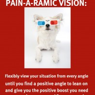 Painaramic Vision