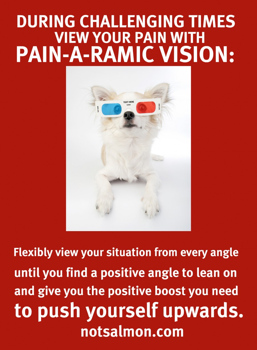 Painaramic Vision