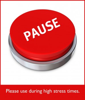 Pause during high-stress times! - notsalmon.com