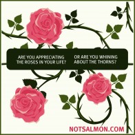 Are you appreciating the Roses?