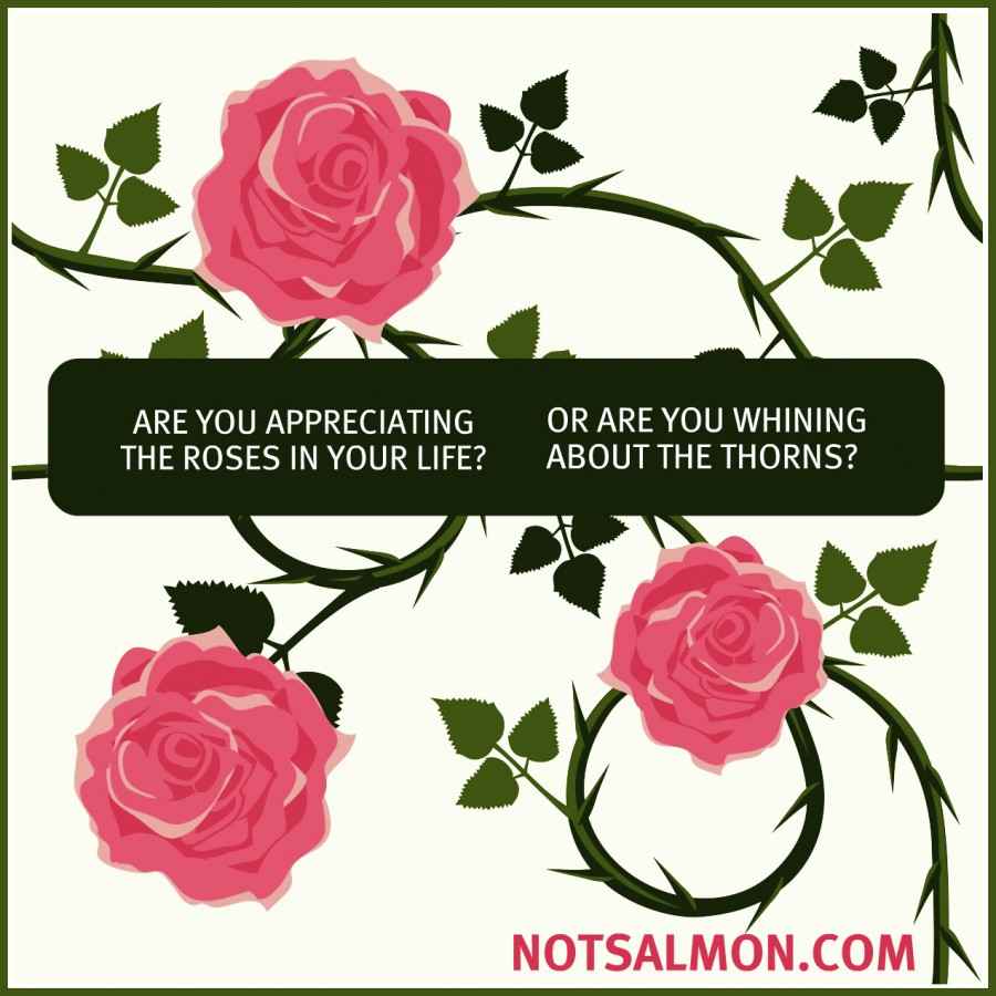 Are you appreciating the Roses?