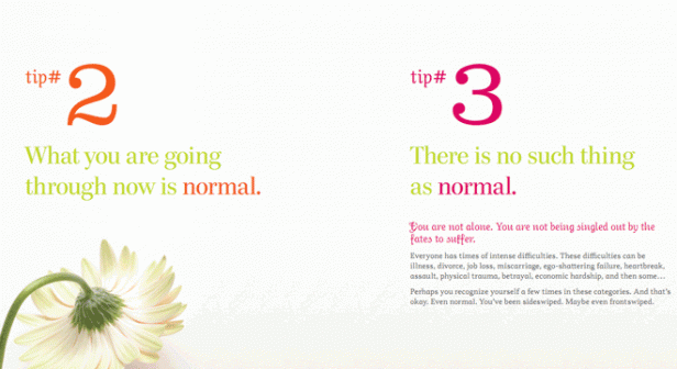 The Bounce Back Book – Slide 09