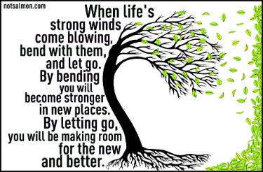 Bend with the wind and let go.