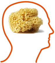 Teach your old brain new tricks | Karen Salmansohn