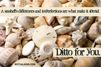 seashell background with various kinds of shells