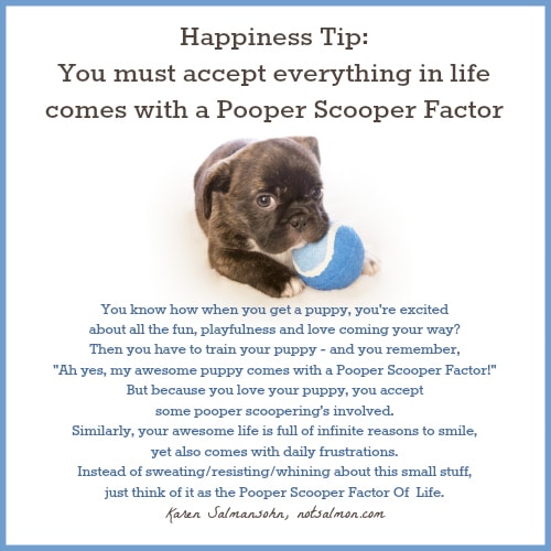 Happiness Tip Accept The Pooper Scooper Factor Karen Salmansohn